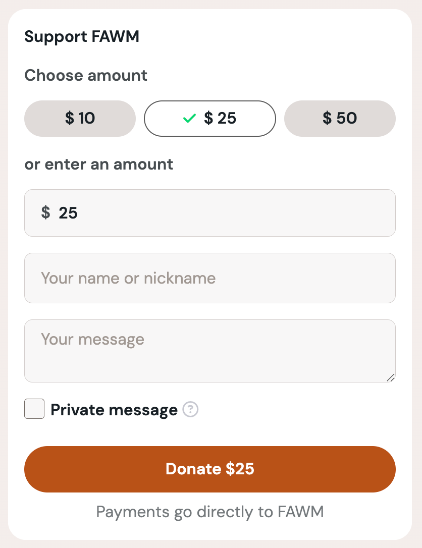 Screenshot: Ko-Fi donation process