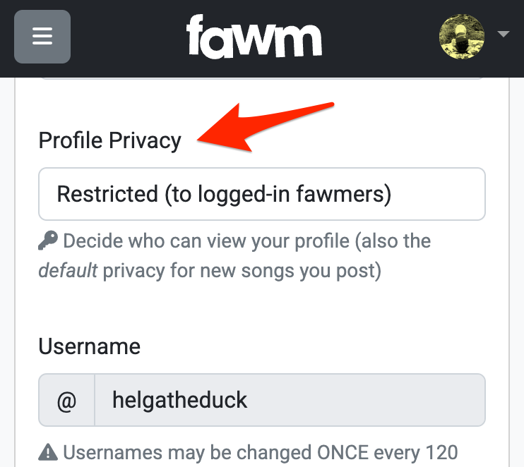 Screenshot: profile privacy setting